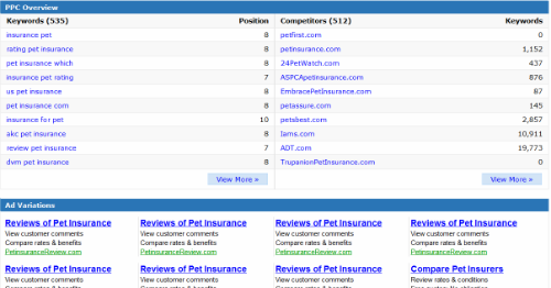 keyword spy view 2