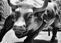 wall street bull